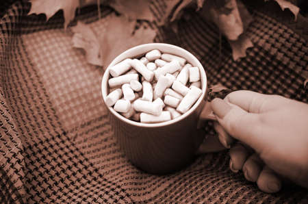 Autumn leaves and hot steaming cup of coffee lies on checkered plaid outdoors. Fall time concept...