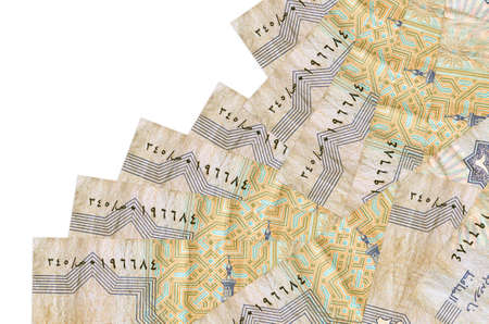 25 Egyptian piastres bills lies in different order isolated on white. Local banking or money making...