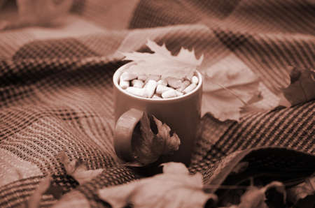 Autumn leaves and hot steaming cup of coffee lies on checkered plaid outdoors. Fall time concept...