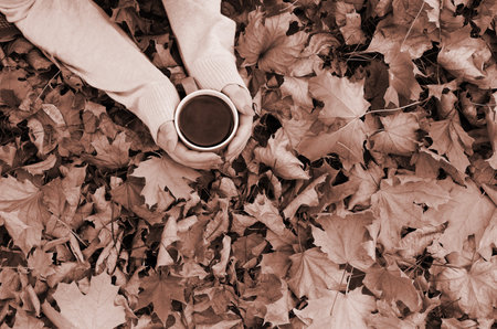 Woman wearing white sweater in their hands holding a big coffee cup in a relaxed mood on foliage background. Flat lay top viewの写真素材