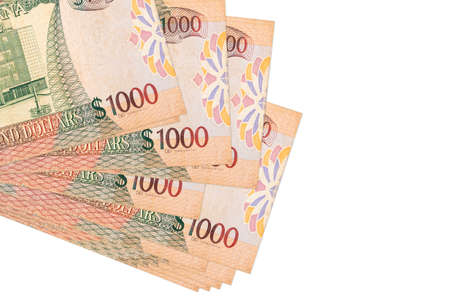 1000 Guyanese dollars bills lies in small bunch or pack isolated on white. Mockup with copy space....