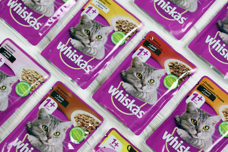 KHARKIV, UKRAINE - FEBRUARY 06, 2021: Whiskas branded cat pet food purple packages close up. Whiskas is a global brand of cat food produced by the American company Mars, Inc.のeditorial素材