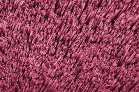 Brown bamboo texture background coming from natural bamboo straws. The oriental asian roofing has a beautiful yellow pattern, fence texture in daytime Image toned in Viva Magenta, color of the yearの写真素材