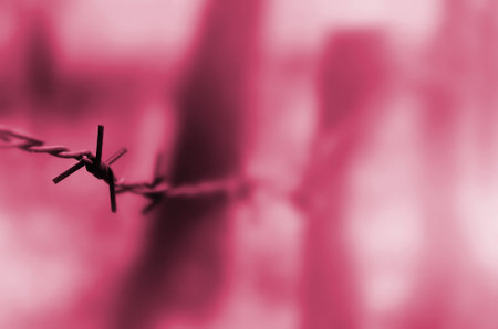 Macro shot of an element of old and rusty barbed wire with a blurred background. Fragment of a...