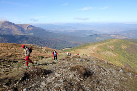 CARPATHIAN MOUNTAINS, UKRAINE - OCTOBER 8, 2022 Mount Hoverla. Carpathians in Ukraine in autumn. Tourists walks through hills and woods to climbing to the top of the Hoverla mountainのeditorial素材