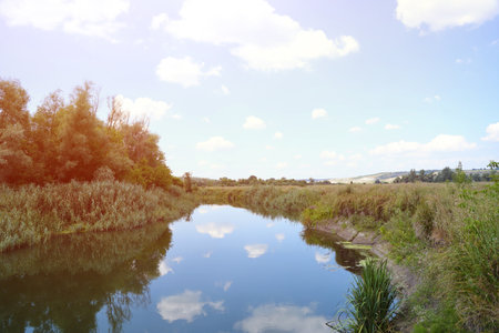Sunny spring morning on meadow near river. Scenic rural landscape. Spring sunny backgroundの写真素材