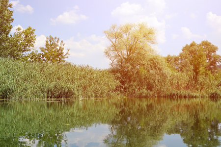 Sunny spring morning on meadow near river. Scenic rural landscape. Spring sunny backgroundの写真素材