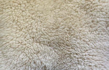 Sheep fur texture, white or gray animal patterns for nature background close upの写真素材
