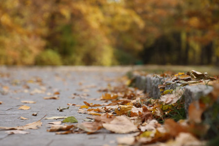 Beautiful Nature Autumn landscape. Scenery view on autumn city park with golden yellow foliage in cloudy day. Walking paths in the city Park strewn with autumn fallen leavesの写真素材