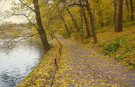 Beautiful Nature Autumn landscape with lake. Scenery view on autumn city park with golden yellow...