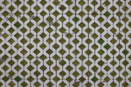 Geometric background of eco floor bricks and green grass. Eco parking texture. Floor stone tile with...