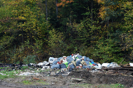 Garbage pile without scattered all over the street in forest area