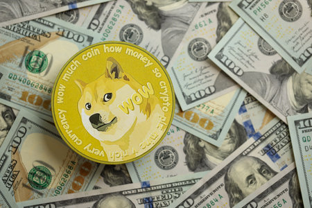 KYIV, UKRAINE - AUGUST 17, 2024 DOGE Meme coin on big amount of hundred US dollar bills close up