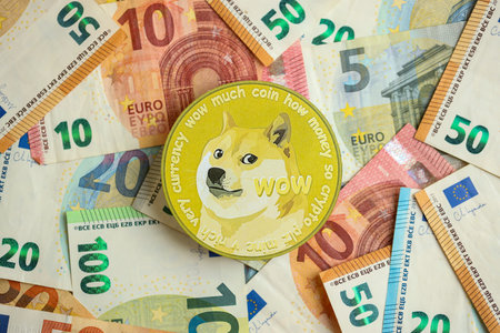 KYIV, UKRAINE - AUGUST 17, 2024 DOGE Meme coin with big amount of european euro bills close upのeditorial素材