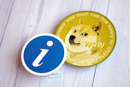 KYIV, UKRAINE - AUGUST 17, 2024 DOGE Meme coin and information sign on wooden background close upのeditorial素材