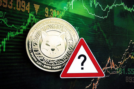 KYIV, UKRAINE - AUGUST 17, 2024 Shiba coin and red paper question sign on chart background close upのeditorial素材