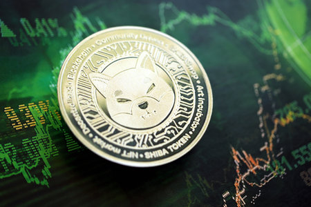 KYIV, UKRAINE - AUGUST 17, 2024 Shiba coin on dark cryptocurrency digital trading chart in green colors close upのeditorial素材