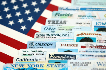 Big amount of driving licenses from different USA states on flag close up. Stack of driving license specimen cardsの写真素材