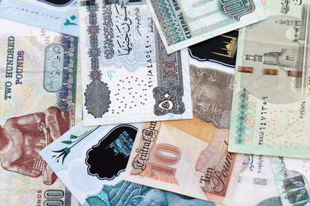 Egyptian pound currency money bills. The current banknotes lies on table in big amount close up