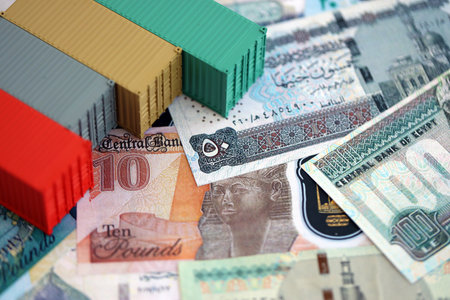 Egyptian pound currency money bills and toy cargo containers close up. The concept of shipping and...