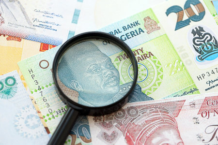 Nigerian naira currency money bills and magnifying glass close up. The concept of financial...