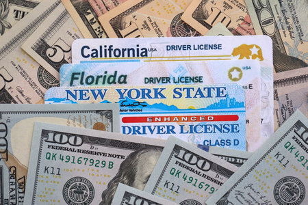 California, Florida and New York state driving licenses among big amount of US dollar bills close upの写真素材