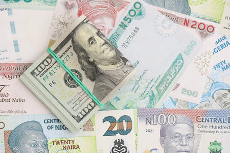 Nigerian naira currency money bills and bunch of us dollar banknotes close up. The concept of...