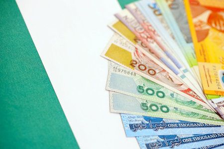 Nigerian naira currency money bills lies on flag close up. The concept of business and investmentの写真素材