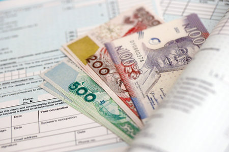 Nigerian naira money bills on tax form close up. Taxation and accounting conceptの写真素材