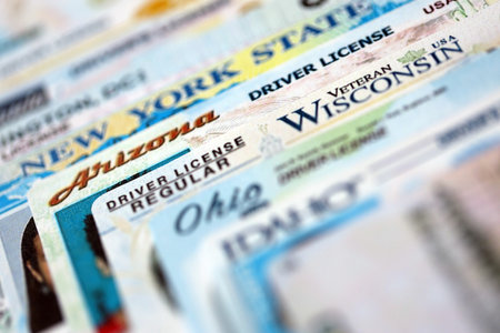Big amount of driving licenses from various USA states. Stack of driving license specimen cardsの写真素材