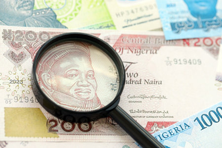 Nigerian naira currency money bills and magnifying glass close up. The concept of financial monitoring and taxationの写真素材