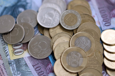 Big amount of Hungarian Forint currency money bills and coins. HUF currency banknotes and coins close upの写真素材