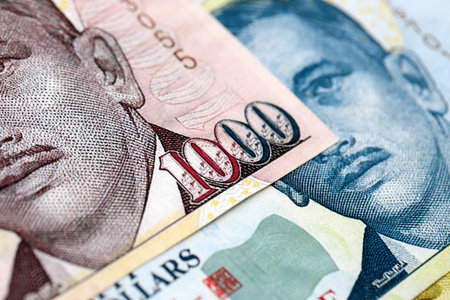 Singapore Dollar currency money bills. SGD currency banknotes in pile with different denomination...