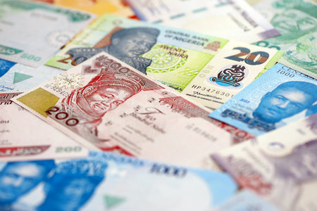 Nigerian naira currency money bills. The current banknotes lies on table in big amount close upの写真素材