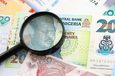 Nigerian naira currency money bills and magnifying glass close up. The concept of financial...