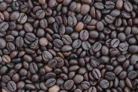 Coffee bean background in detail. Very big amount of brown coffee beans close up
