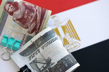 Egyptian pound currency money bills lies on flag close up. The concept of business and investmentの写真素材