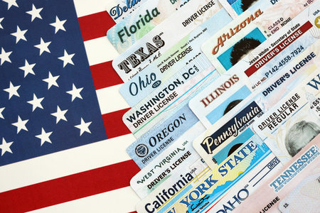 Big amount of driving licenses from different USA states on flag close up. Stack of driving license...