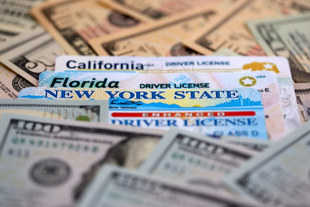 California, Florida and New York state driving licenses among big amount of US dollar bills close upの写真素材