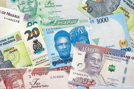 Nigerian naira currency money bills. The current banknotes lies on table in big amount close upの写真素材