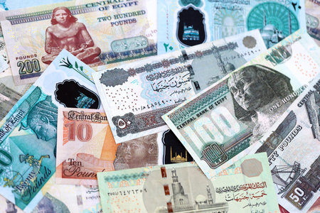 Egyptian pound currency money bills. The current banknotes lies on table in big amount close up