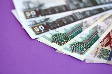 Egyptian pound money bills in big amount on purple close up. Finance and banking conceptの写真素材
