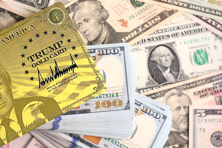 KYIV, UKRAINE - DECEMBER 13, 2025 Trump gold card souvenir on big amount of US dollar money bills...