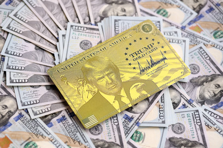 KYIV, UKRAINE - DECEMBER 13, 2025 Trump gold card souvenir on big amount of US hundred dollar bills banknotesのeditorial素材