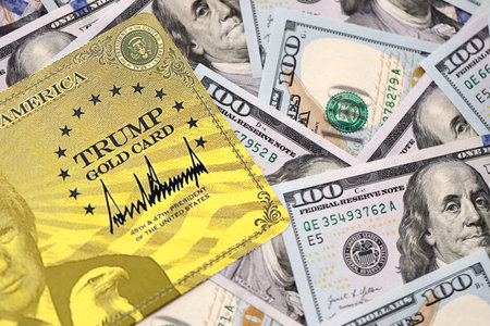 KYIV, UKRAINE - DECEMBER 13, 2025 Trump gold card souvenir on big amount of US hundred dollar bills...