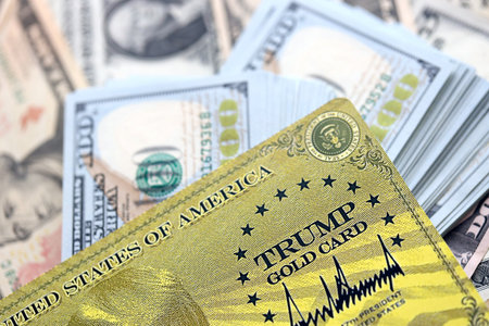 KYIV, UKRAINE - DECEMBER 13, 2025 Trump gold card souvenir on big amount of US dollar money bills...