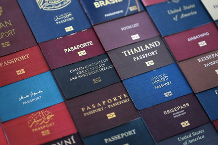Big amount of passports of various different countries. Covers of expired passports close up. Travel...