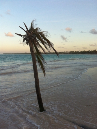 Sunset at punta canaの素材