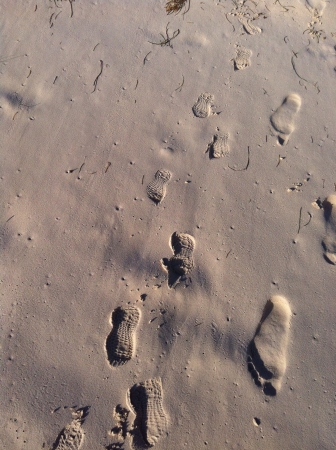 foot prints on the beachの素材