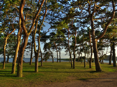 Kalmar, Swedenの写真素材